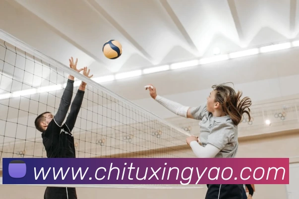 App Interface Preview